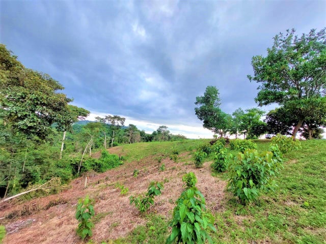 Commercial Property for Sale in Tocumen Panamá Province 07215